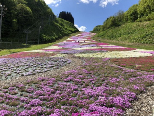 奥入瀬渓流銚子大滝 奥入瀬渓流銚子大滝