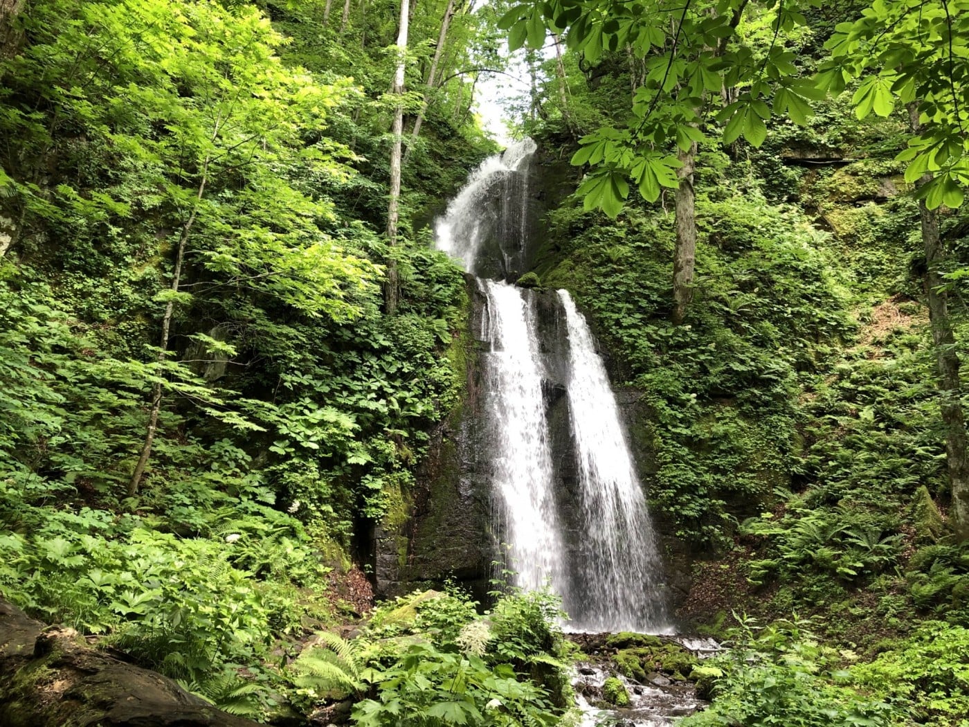 奥入瀬渓流 奥入瀬渓流