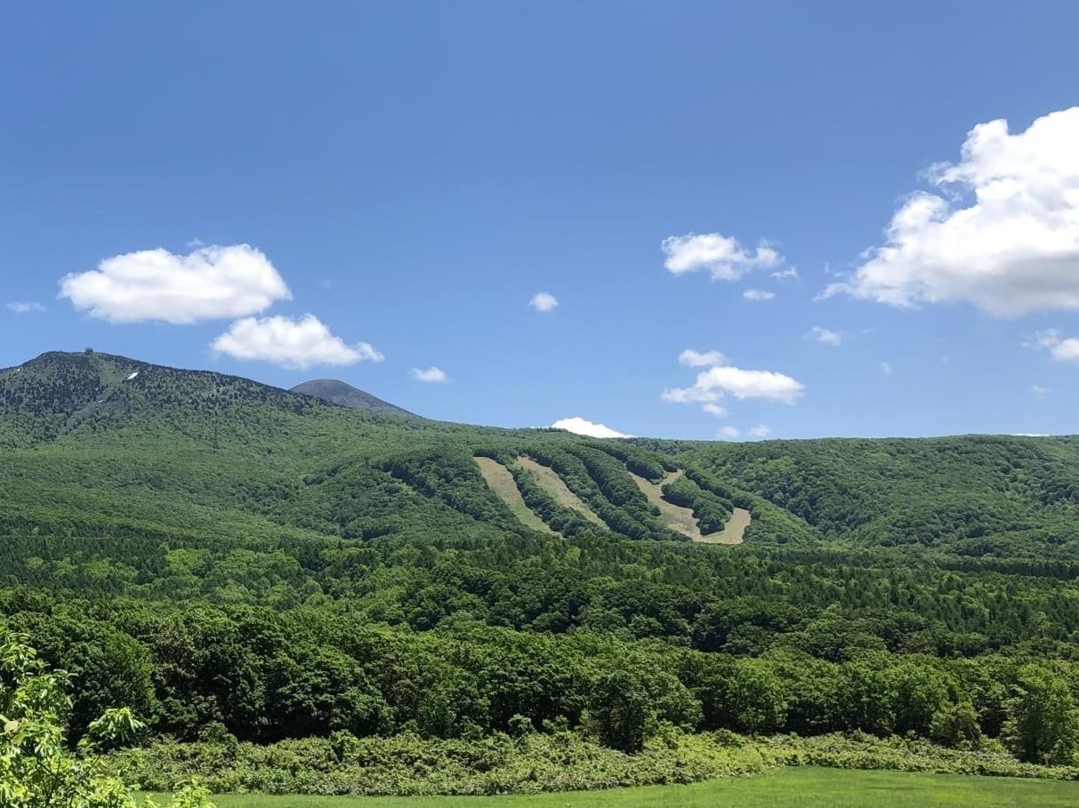城ヶ倉大橋 城ヶ倉大橋