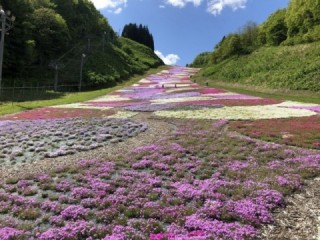 奥入瀬渓流銚子大滝 奥入瀬渓流銚子大滝