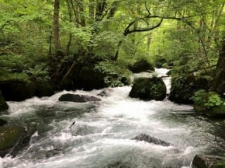 奥入瀬渓流 奥入瀬渓流